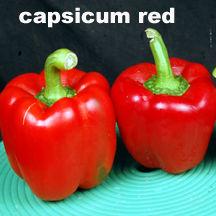 Fresh Capsicum