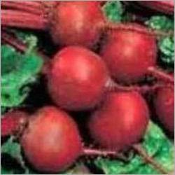 Fresh Red Beetroot