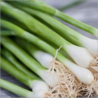 Green Spring Onions