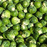 Brussels Sprout