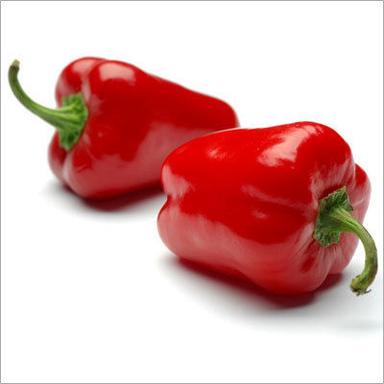 Red Capsicum