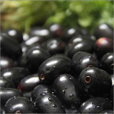 Indian Blackberry Fruit