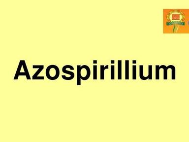  एज़ोस्पिरिलियम 
