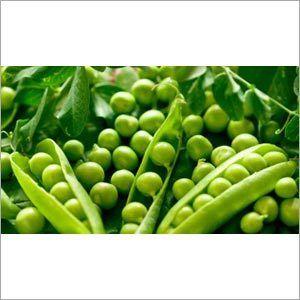 Green Peas Vegetables