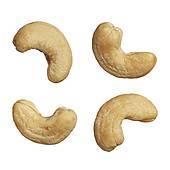 Cashew Nut Isolated
