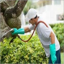 Herbal Pest Control Services
