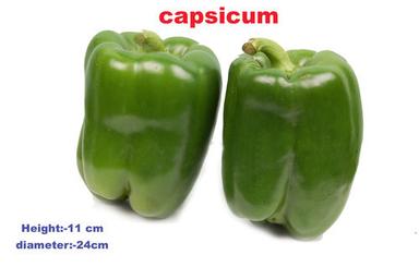 Capsicum Green Grade: Export Quality