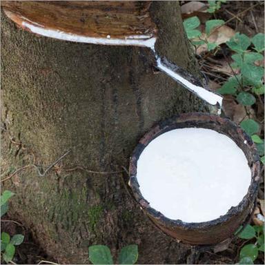 Natural Rubber Latex