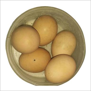  मुर्गी का अंडा 