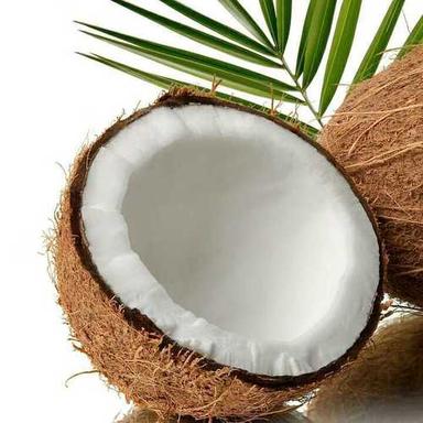 भूरा परिपक्व प्राकृतिक ताजा नारियल