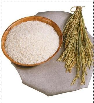 Organic Food Additive Rice Protein Packaging: Bag