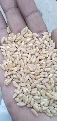 White Milling Wheat Grain Broken (%): 5%