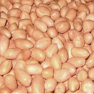 Brown Healthy And Tasty Groundnut