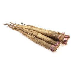 Dried Herbs Burdock Root Extract