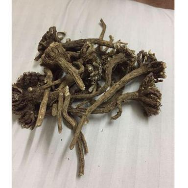 Dried Herbs Organic Akarkara Root