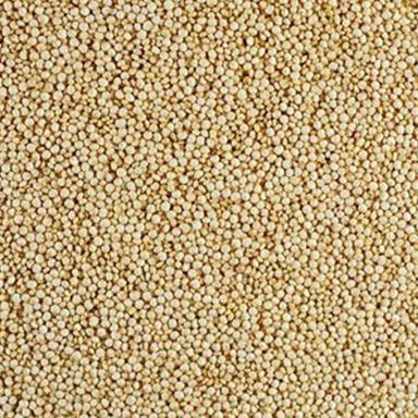 White Organic Quinoa Seeds