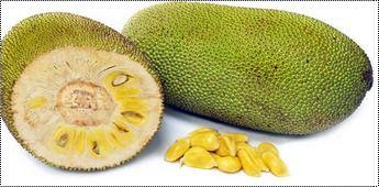 Round Fresh High Nutritional Jackfruit