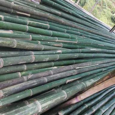 Hard Structure Green Bamboo  Size: Custom
