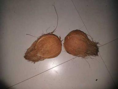Fresh Natural Coconut