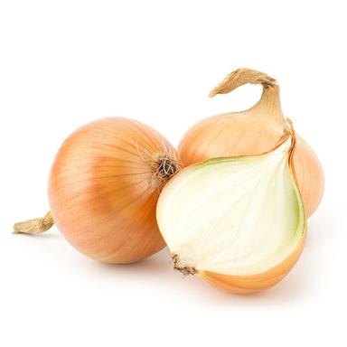High Nutritive Value Fresh Onion
