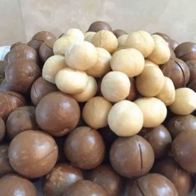 Brown Natural Dried Organic Macadamia Nuts