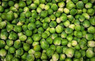 Round Green Fresh Brussels Sprouts 