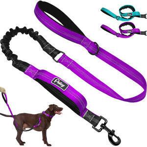 Dog Training Leads