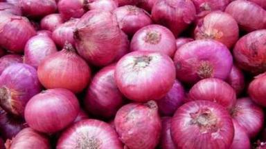 Round Organic Fresh Red Onion