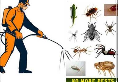 Indoor Pest Control Service