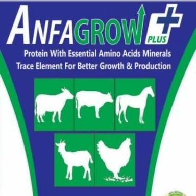 Anfa Grow Plus Cattle Feed Efficacy: Promote Healthy