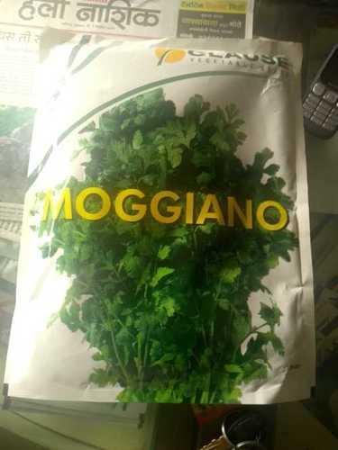 Natural Taste Moggiano Seeds