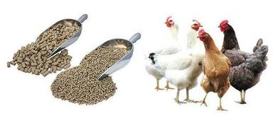 Poultry Feed Accuracy: 0.01G 0.1G Gm