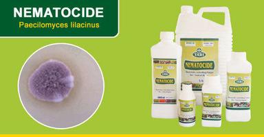 Anti Bacterial Nematocides