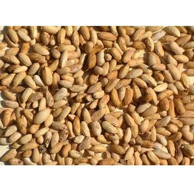 Brown Organic Dried Neem Seeds