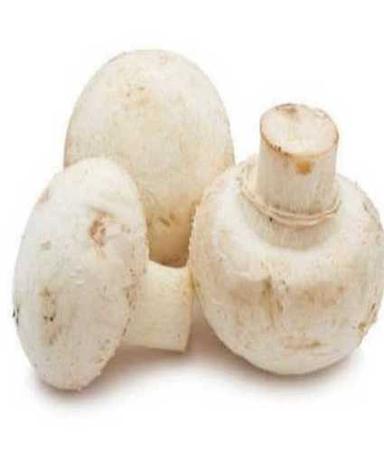 White Natural Fresh Button Mushroom