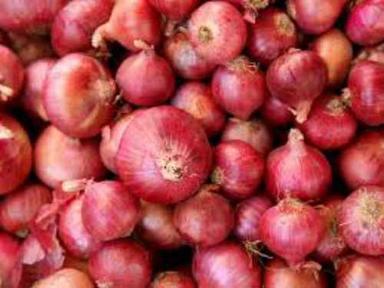 Preserved Natural Fresh Red Onion