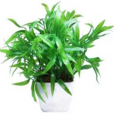 Easy To Clean Artificial Plants For Decoration 