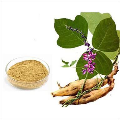 Herbal Product Puerarin Powder
