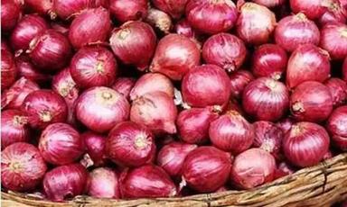 Round/Oval Natural Fresh Red Onion