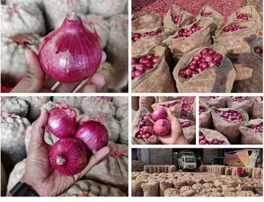 100% Fresh Red Onions