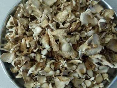Snow Grey Natural Dried Oyster Mushroom
