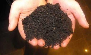 Brown Organic Vermicompost Fertilizer For Agriculture