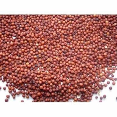 Brown Natural Ragi Millet With High Protein