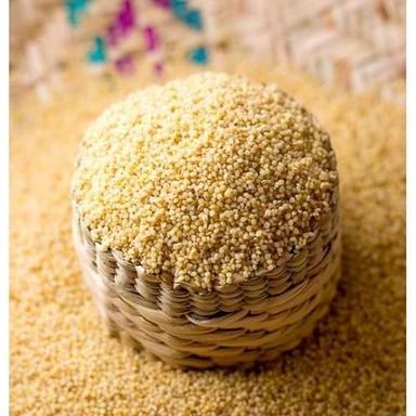 Common Gluten Free Yellow Millet