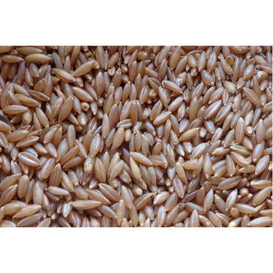 Brown High Protein Bamboo Rice