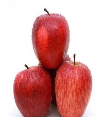 Common Fresh Red Sweet Apples