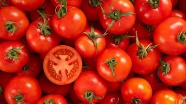 Round Fresh And Pure Tomato 