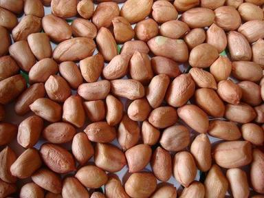 Dried Peanut Kernels (Brown) Broken (%): 1