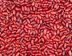 Organic Red Kidney Beans Packaging: Bulk