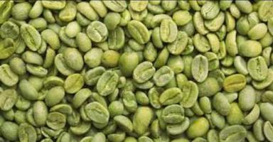 Common Green Coffee Beans, Moisture: 12.5 %